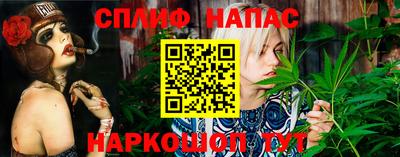 сатива Будённовск