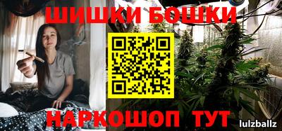 сатива Будённовск