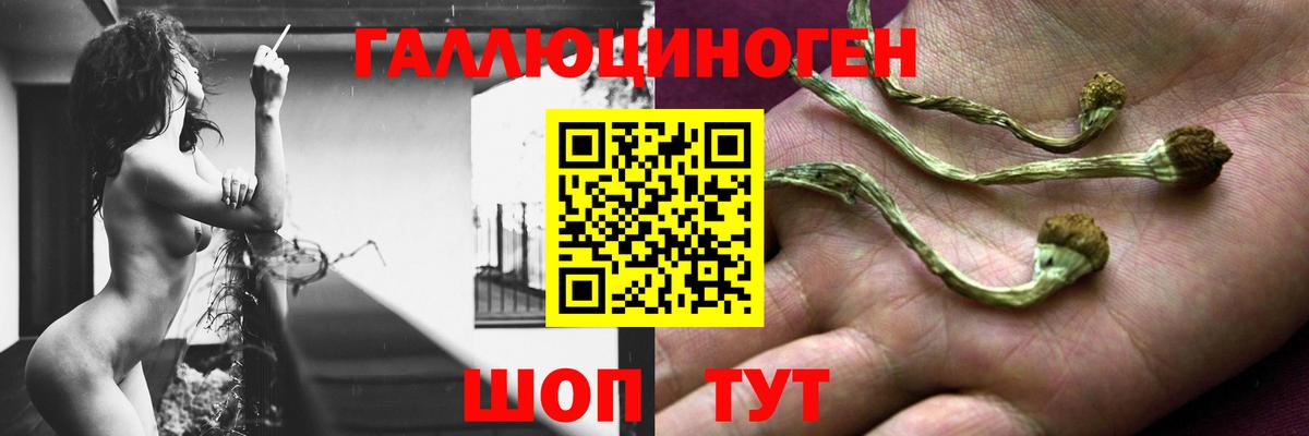 Нижний Тагил  Галлюциногенные грибы Magic Shrooms  наркотики  Вход с VPN 
